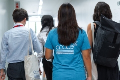 Volunteers in action